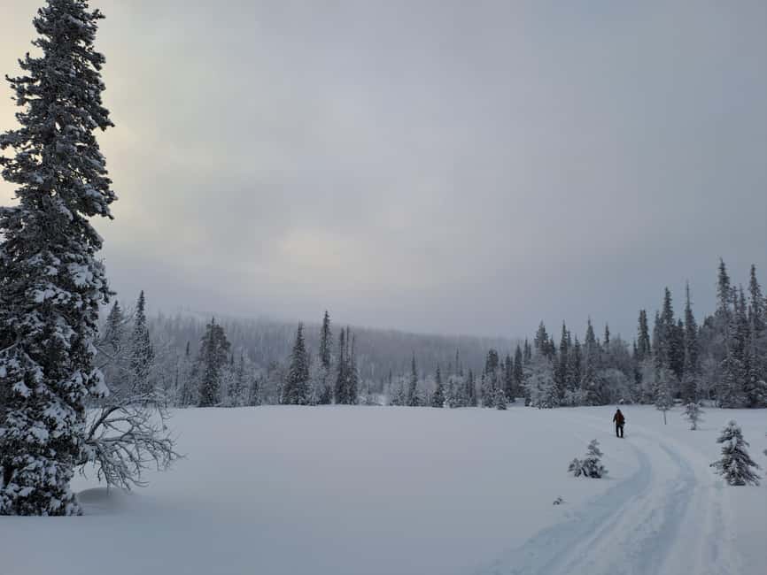 Ylläs: Guided Nordic Skiing Tour in Lapland Wilderness - Return to the starting point: finishing while you still feel good
