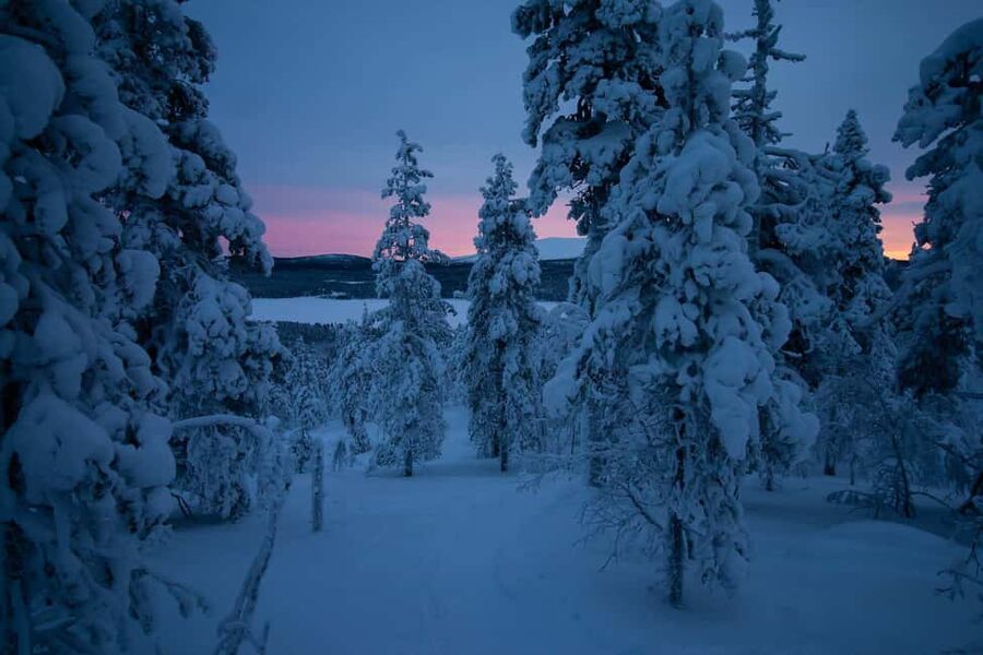 Ylläs: Guided Nordic Skiing Tour in Lapland Wilderness - Equipment and technique: what you’ll practice in the first stretch
