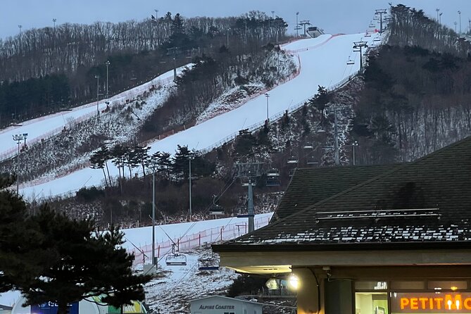 Yongpyong Ski Resort from Seoul with Optional Lesson and Packages - Key things that make this ski day work