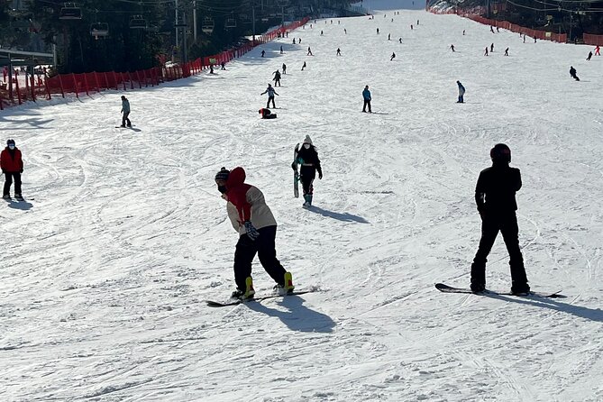 Yongpyong Ski Resort from Seoul with Optional Lesson and Packages - Value check: what $99 gets you from Seoul